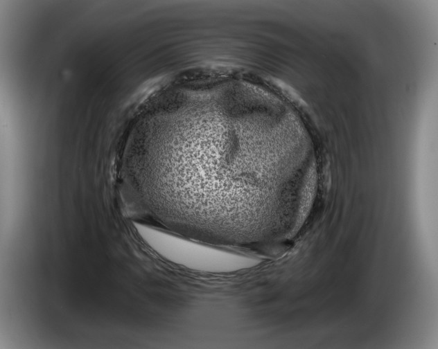 X0000084031110200703092004