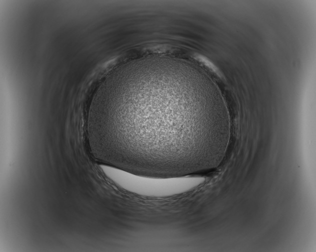 X0000084031111200703092004