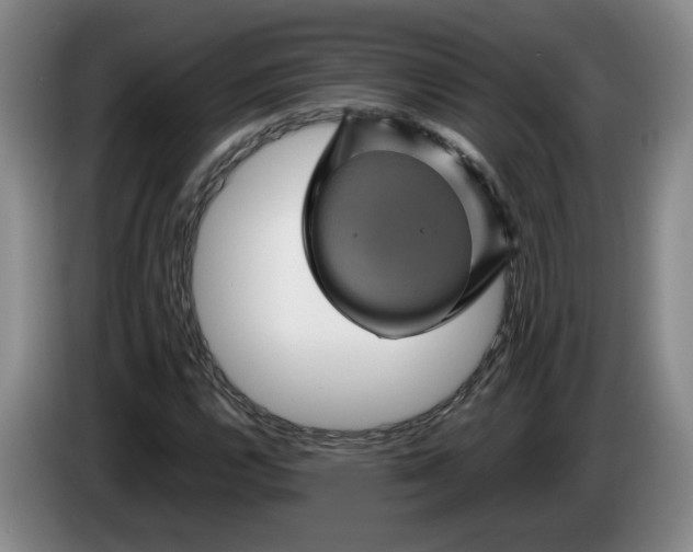 X0000084031112200703092004