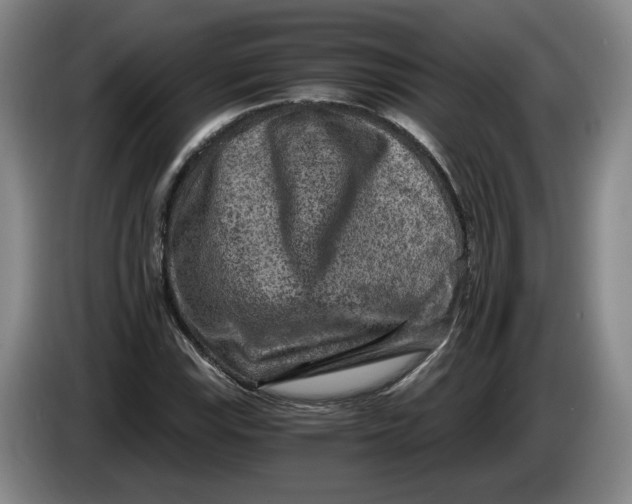 X0000084031115200703092004