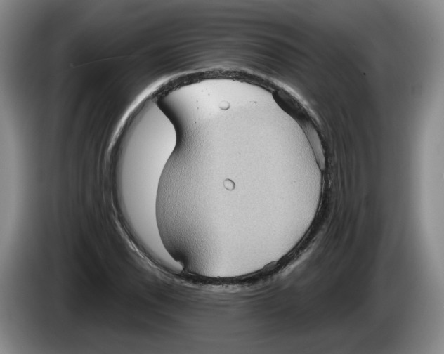 X0000084031118200703092004