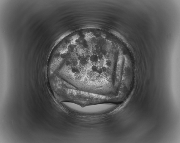 X0000084031121200703092004