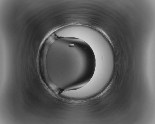 X0000084031122200703092004