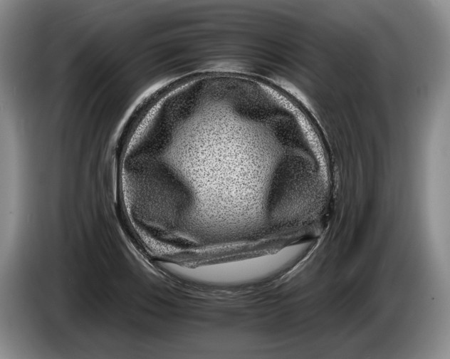 X0000084031123200703092004