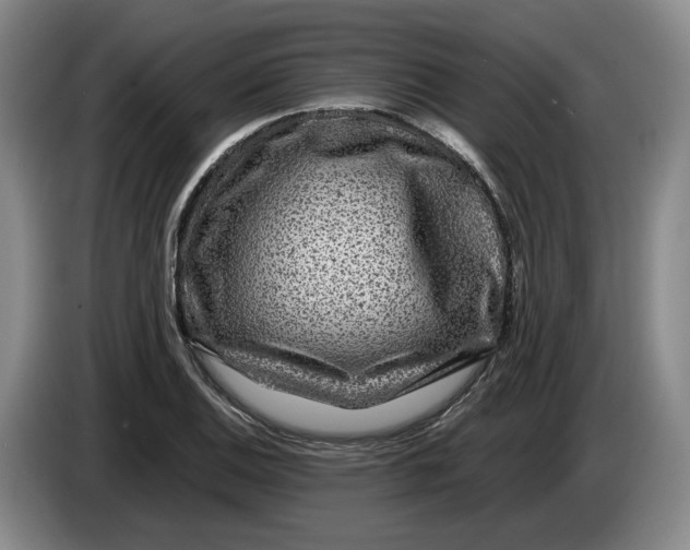 X0000084031124200703092004