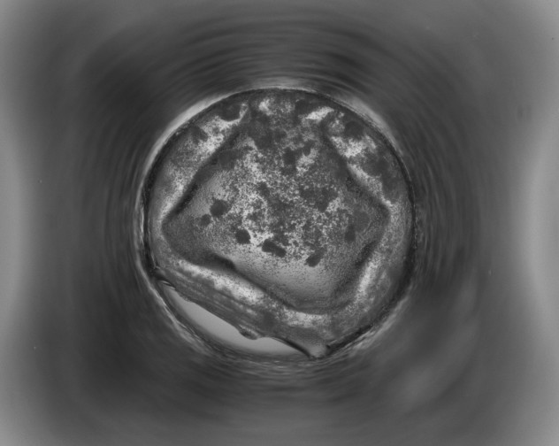 X0000084031125200703092004