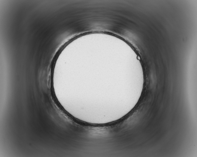 X0000084031126200703092004