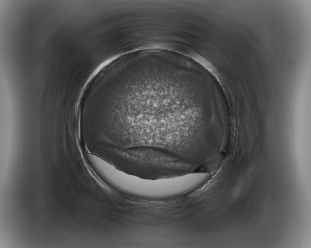 X0000084031127200703092004