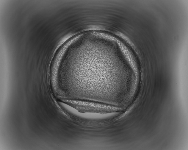 X0000084031129200703092004