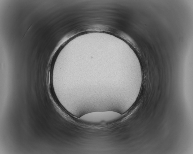 X0000084031130200703092004