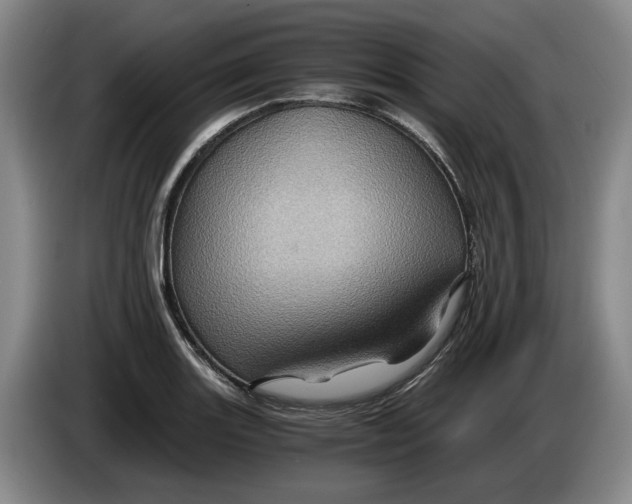 X0000084031131200703092005