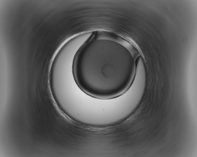 X0000084031132200703092005