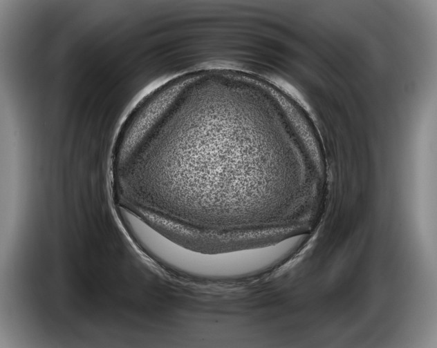 X0000084031133200703092005