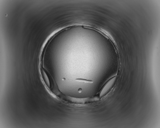 X0000084031136200703092005