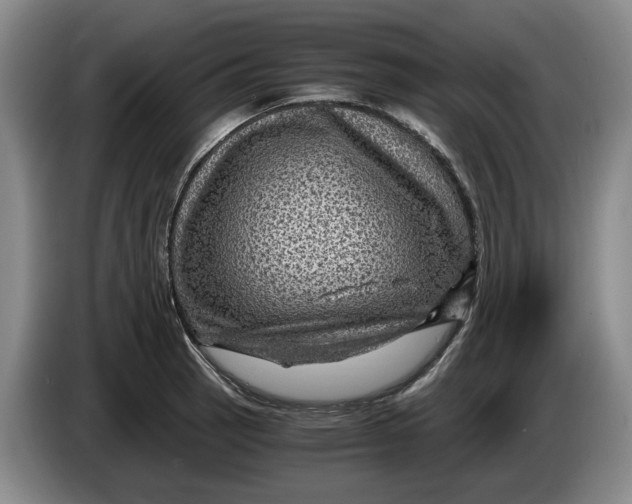 X0000084031137200703092005