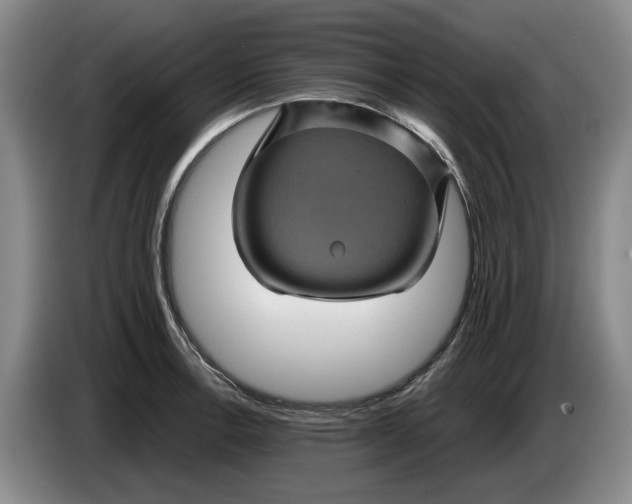 X0000084031138200703092005