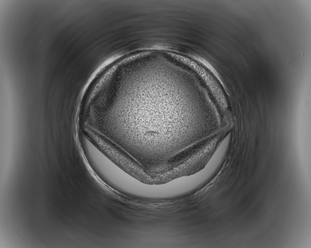 X0000084031139200703092005