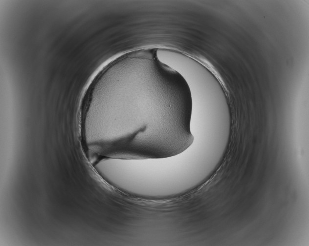 X0000084031140200703092005