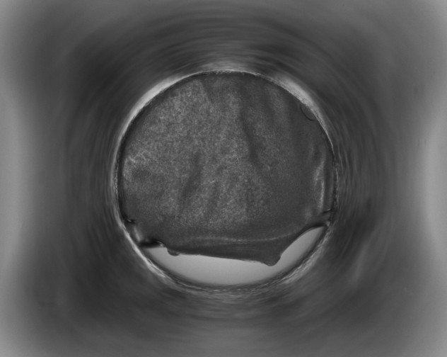 X0000084031141200703092005