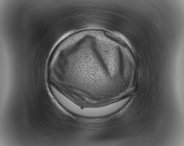 X0000084031142200703092005