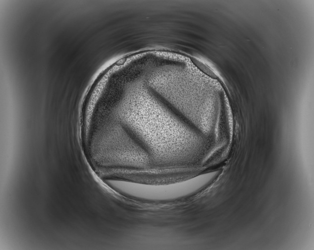 X0000084031143200703092005