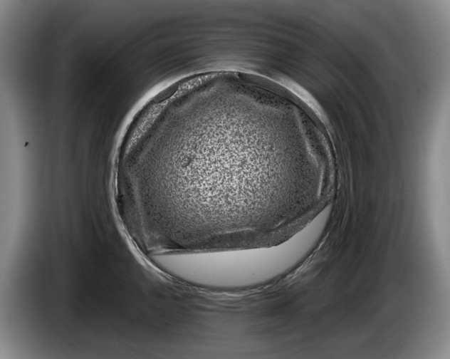 X0000084031144200703092005