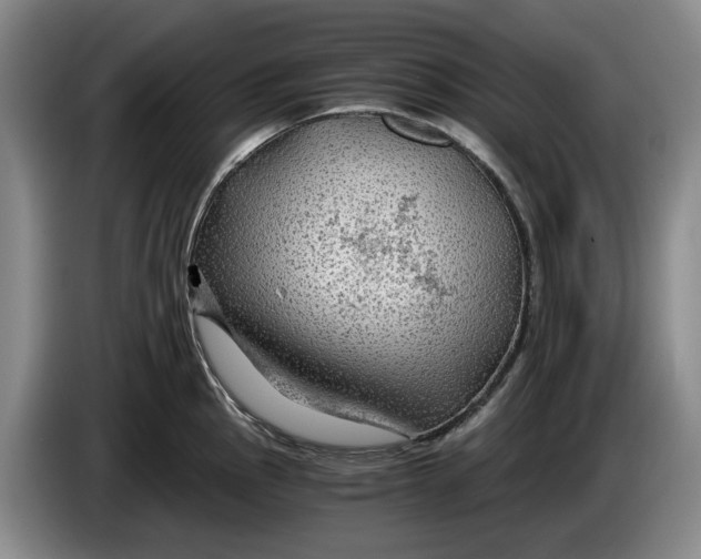 X0000084031145200703092005