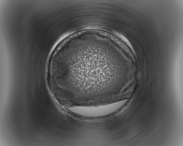 X0000084031146200703092005