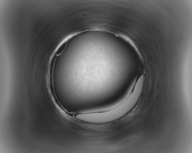 X0000084031147200703092005