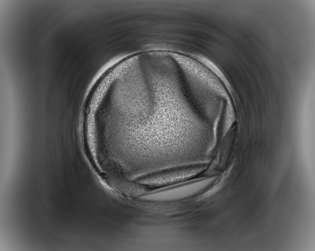 X0000084031149200703092005