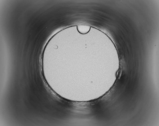 X0000084031150200703092005