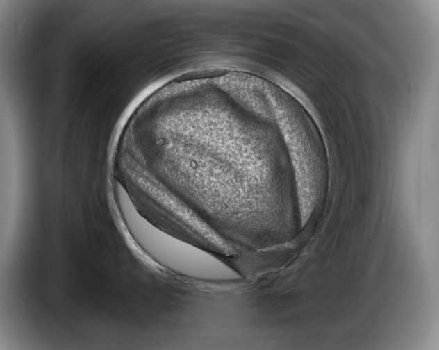 X0000084031152200703092005