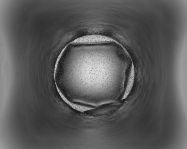 X0000084031153200703092004