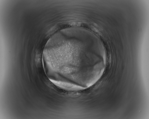 X0000084031154200703092004