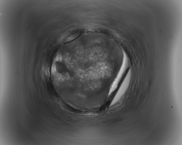 X0000084031155200703092004