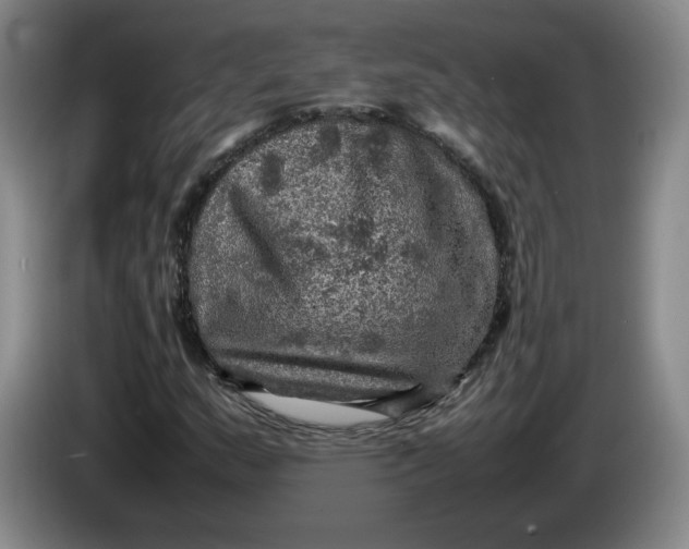 X0000084031159200703092004