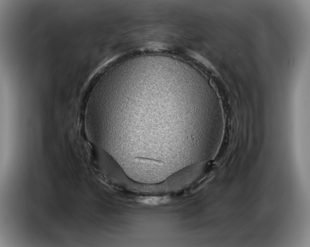 X0000084031160200703092004