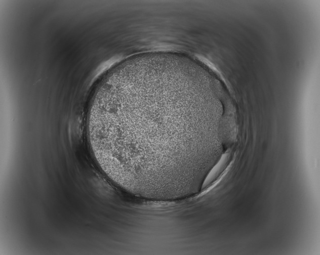 X0000084031163200703092004