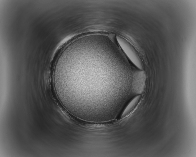 X0000084031164200703092004