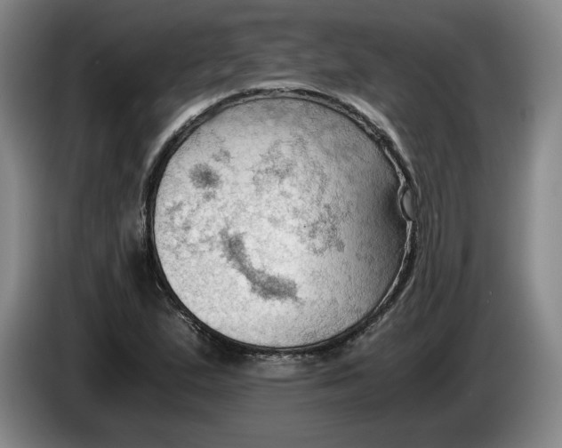 X0000084031167200703092004