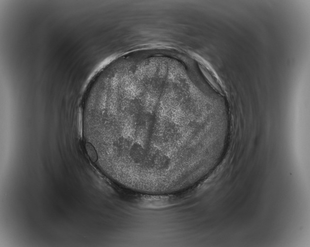 X0000084031171200703092004