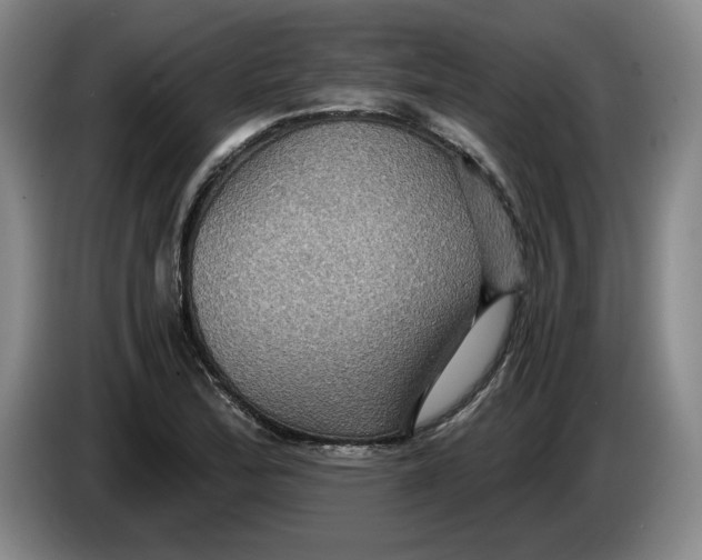 X0000084031172200703092004