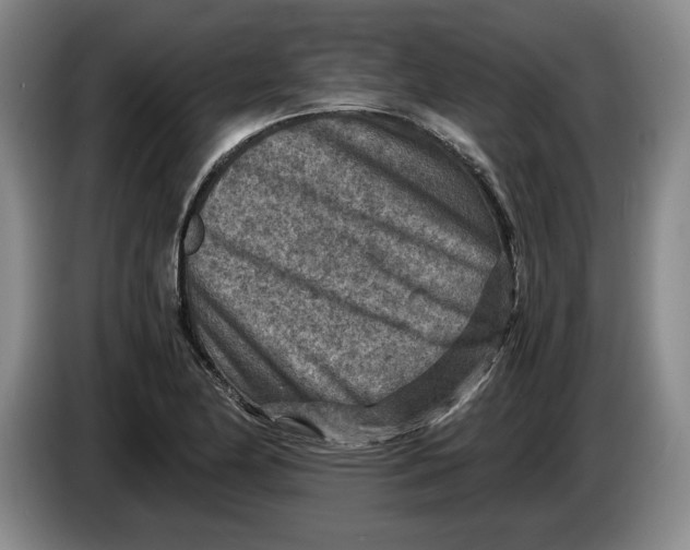 X0000084031174200703092004