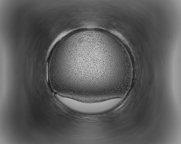 X0000084031175200703092004