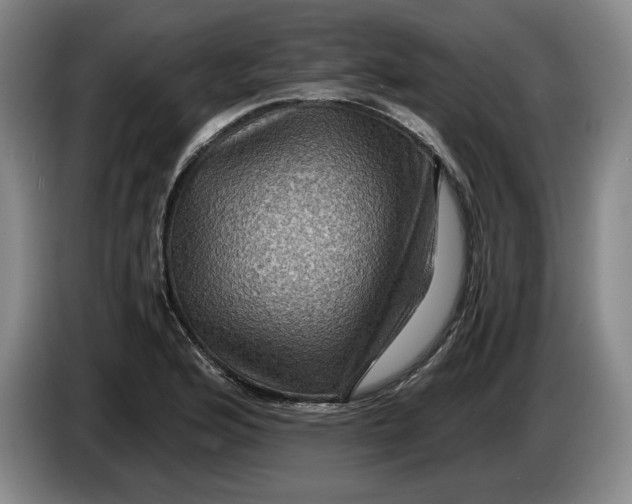 X0000084031176200703092004