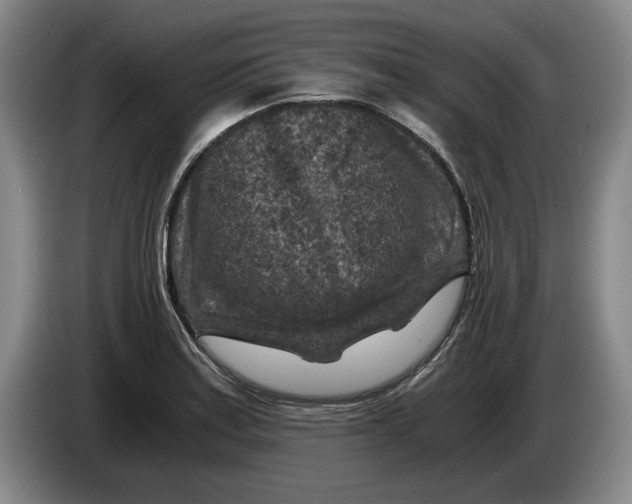 X0000084031179200703092004