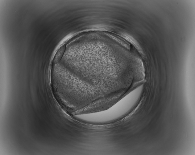 X0000084031180200703092004