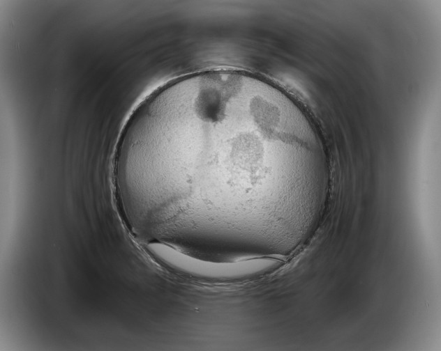 X0000084031182200703092004