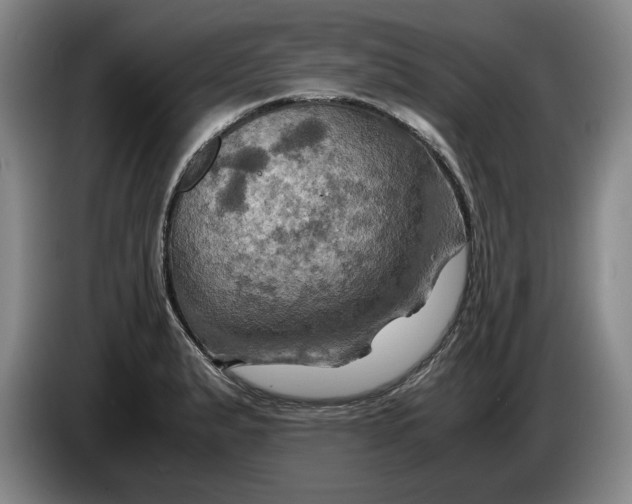 X0000084031183200703092004