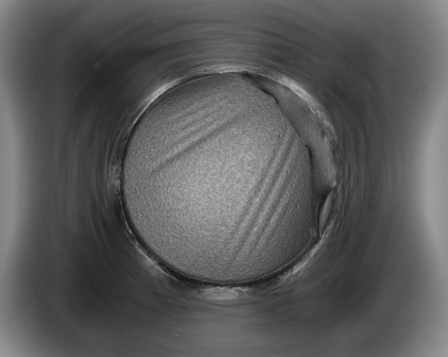 X0000084031185200703092004